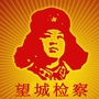 望城检察ico