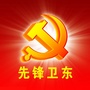先锋卫东ico