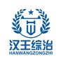 汉王综治办ico