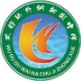 武都区外纳初级中学ico