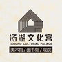 汤湖文化宫ico