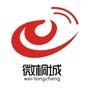 最桐城ico