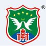 仙桃伟才国际幼儿园ico
