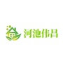 河池伟昌建材ico