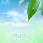 围场佳禾种业ico