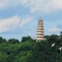 微高坪ico