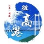 微高港ico