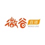 新微谷LIVEico