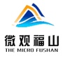 微观福山ico