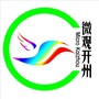 微观开州ico