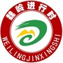 魏岭进行时ico