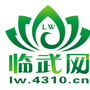 临武网ico