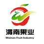 渭南果业ico