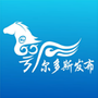 鄂尔多斯发布ico