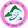 微视岭东ico