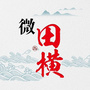 微田横公众号ico
