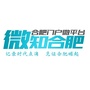 微知合肥公众号ico