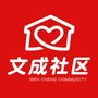美丽文成公众号ico