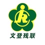 文登残联ico