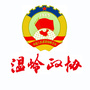 温岭政协ico