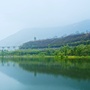 文旅东川ico