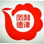 凤德利津ico