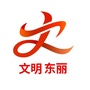 文明东丽ico