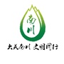 文明南川ico
