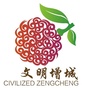 文明增城ico