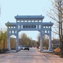 冠世桃源ico