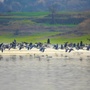 湿地黄冈ico