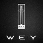 内江建国WEYico