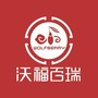 沃福百瑞有机枸杞ico