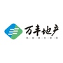 万丰地产ico