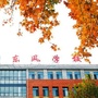 潍坊高新东风学校ico