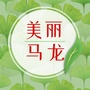 WF马龙村ico