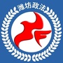 潍坊政法ico