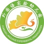 阆中外国语实验幼儿园ico