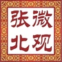 微观张北ico