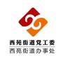 威海经区西苑发布ico