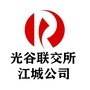 武汉光谷联合产权交易所江城公司ico