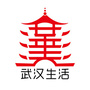 武汉生活在线ico