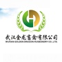 武汉金龙ico