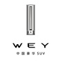 武汉骏马志恒WEYico