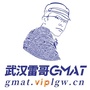 武汉雷哥GMATico