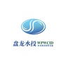 武汉盘龙水投ico