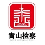 武汉青山检察ico