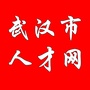 武汉市人才网ico