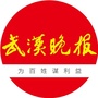 武汉晚报ico