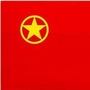 湾沚青年ico